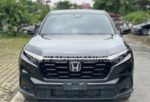 Xe Honda CRV L 2024