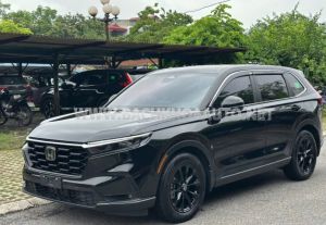 Xe Honda CRV L 2024