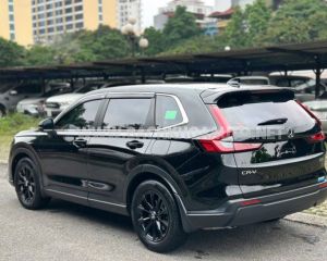 Xe Honda CRV L 2024